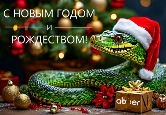 C Новым 2025 годом и Рождеством!